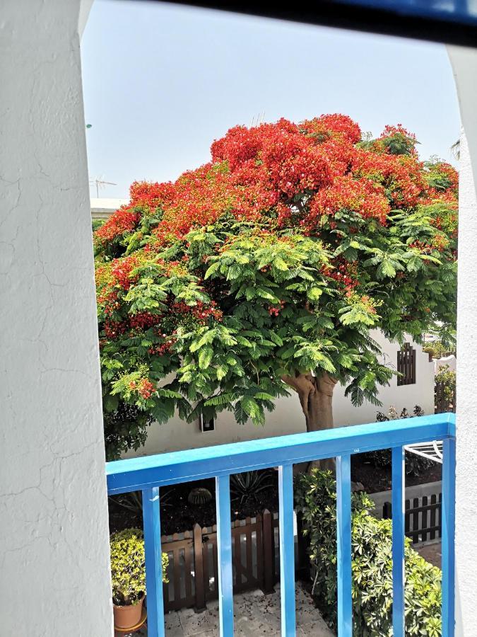 Maspalomas Casa La Loba Dış mekan fotoğraf