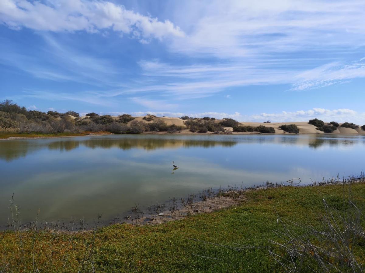 Maspalomas Casa La Loba Dış mekan fotoğraf