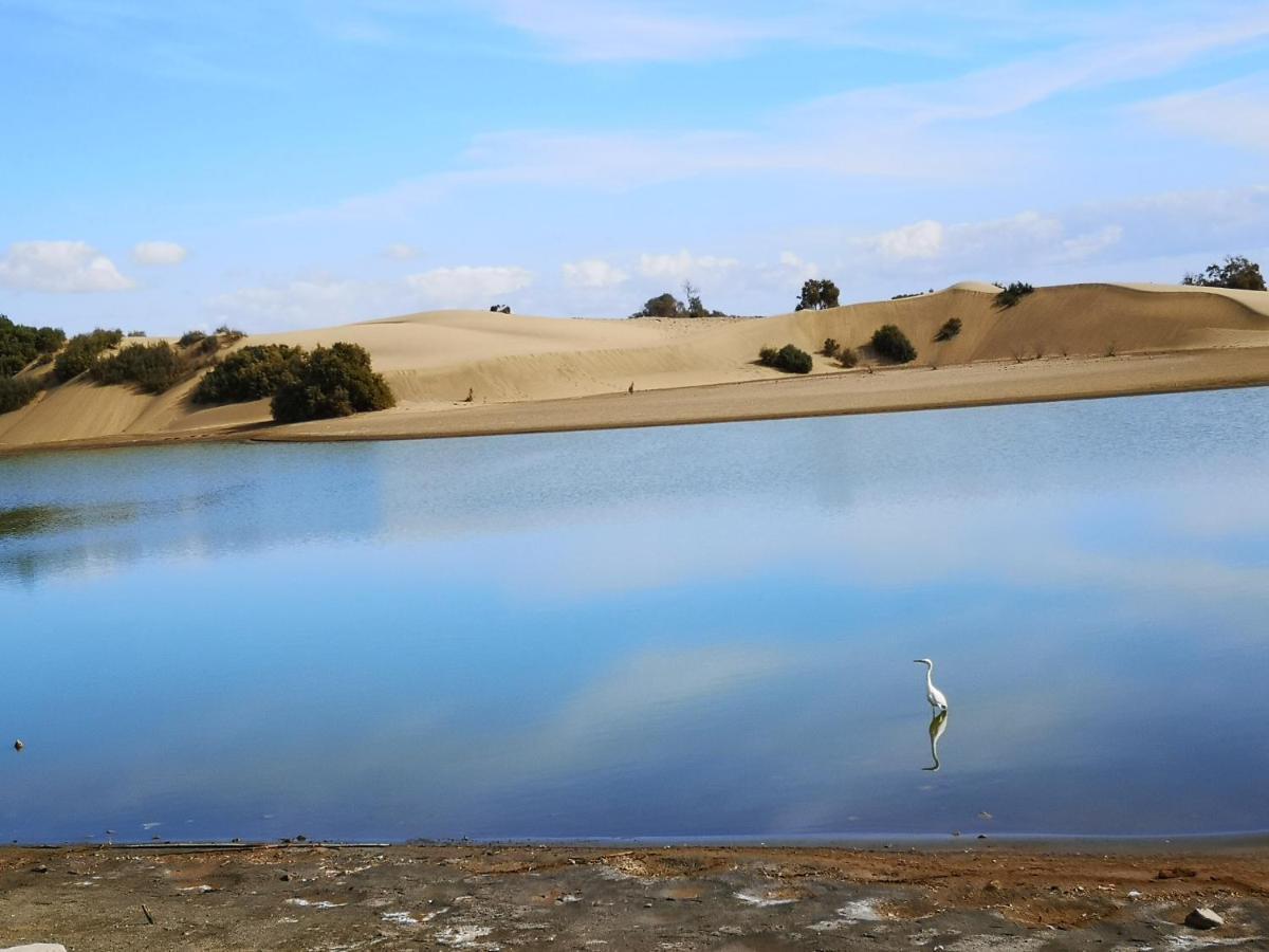 Maspalomas Casa La Loba Dış mekan fotoğraf